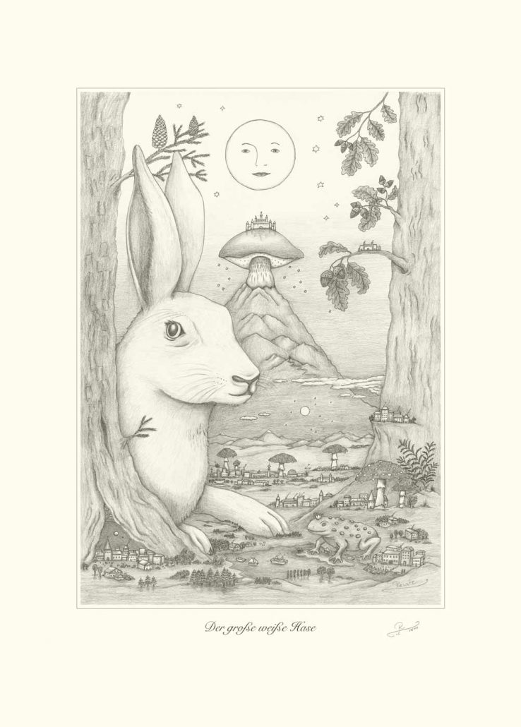 Großer weißer Hase, Zeichnung