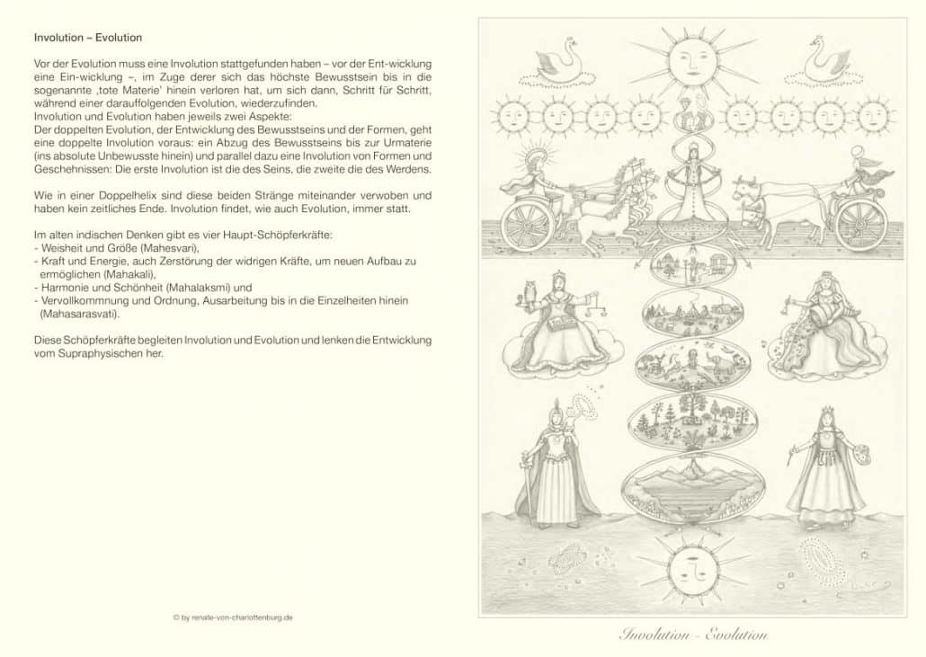 Involution-Evolution, Klappkarte mit Text