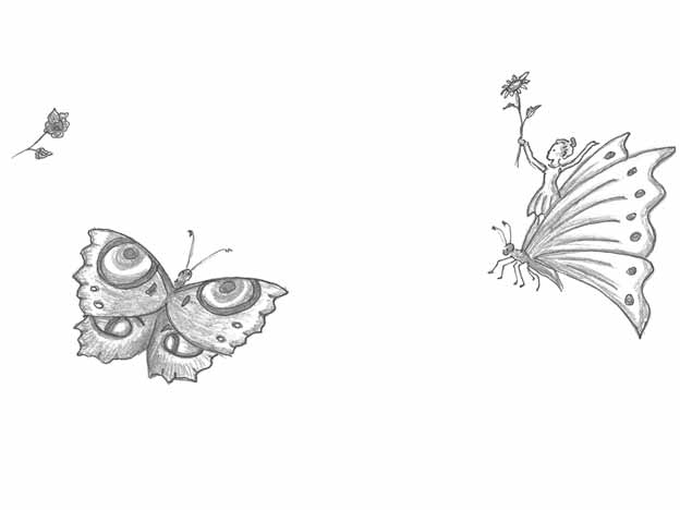 Schmetterlinge, Zeichnung