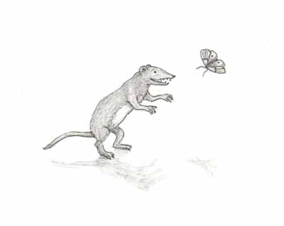 Betrachtungen: Dinosaurier und Spitzmäuse