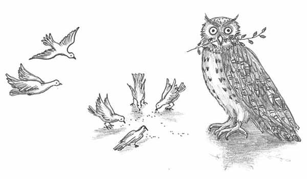 Flügel und Vogelschau